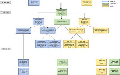 Locus of Control and Negative Cognitive Styles in Adolescence as Risk Factors for Depression Onset in Young Adulthood: Findings From a Prospective Birth Cohort Study